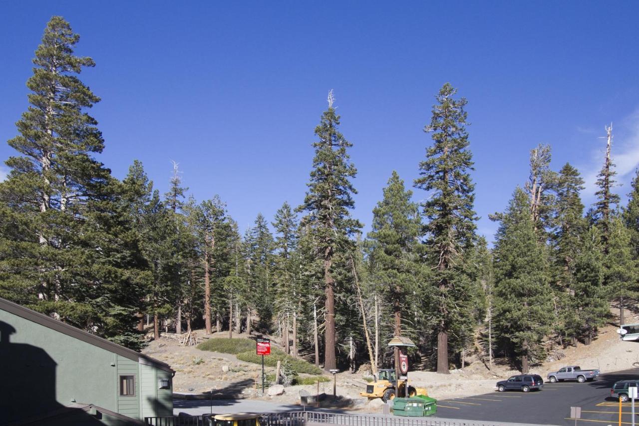 St Anton Street View Ski-in & Out 1-bedroom Appartamento Mammoth Lakes
